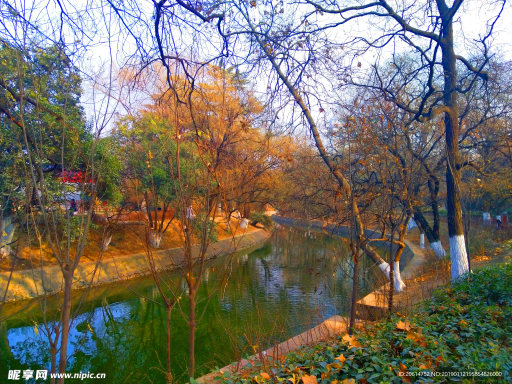 夕阳下的河道风景