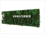 绿化背景墙 带贴图 带文字