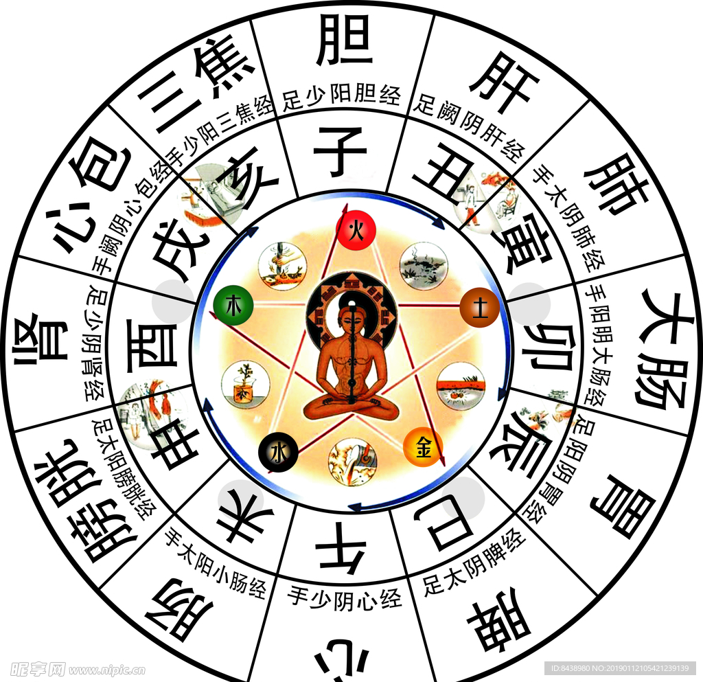 子午流柱五行金木水火土中医穴位