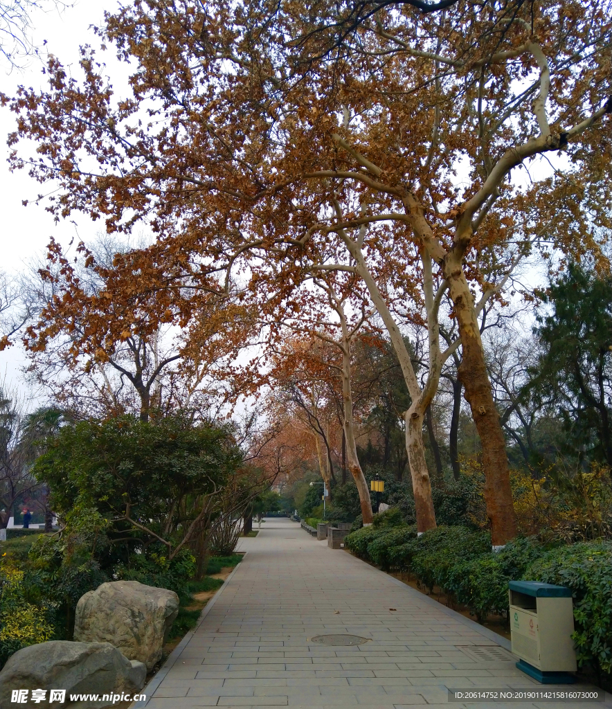 美丽的公园风景