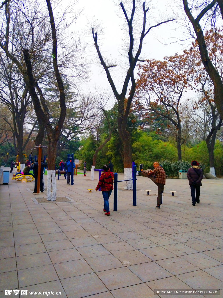 日暮下的公园风景