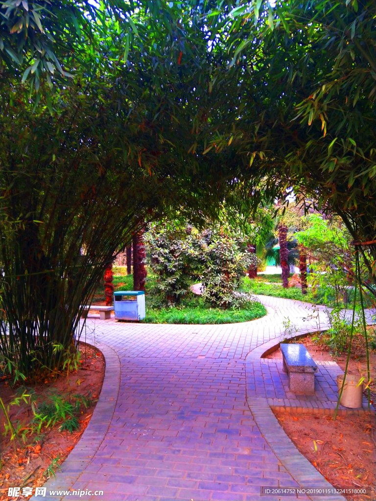 日暮下的公园风景