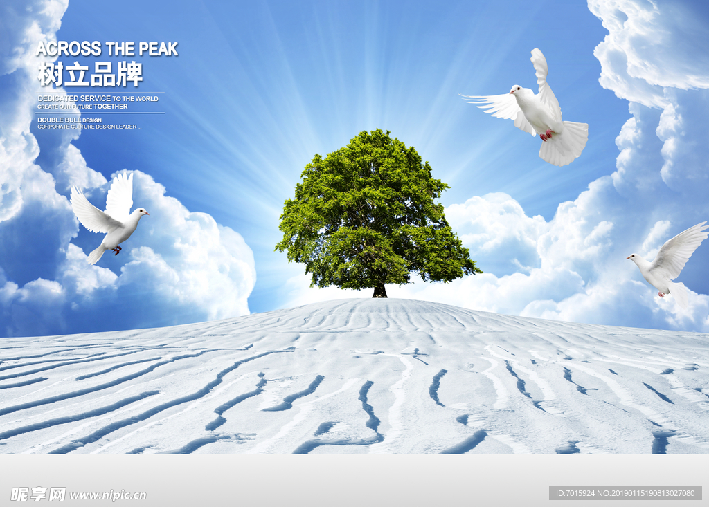 企业文化 企业文化墙 树立品牌