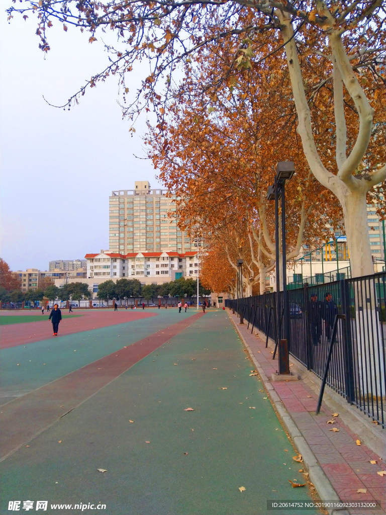 深秋时节的校园风景