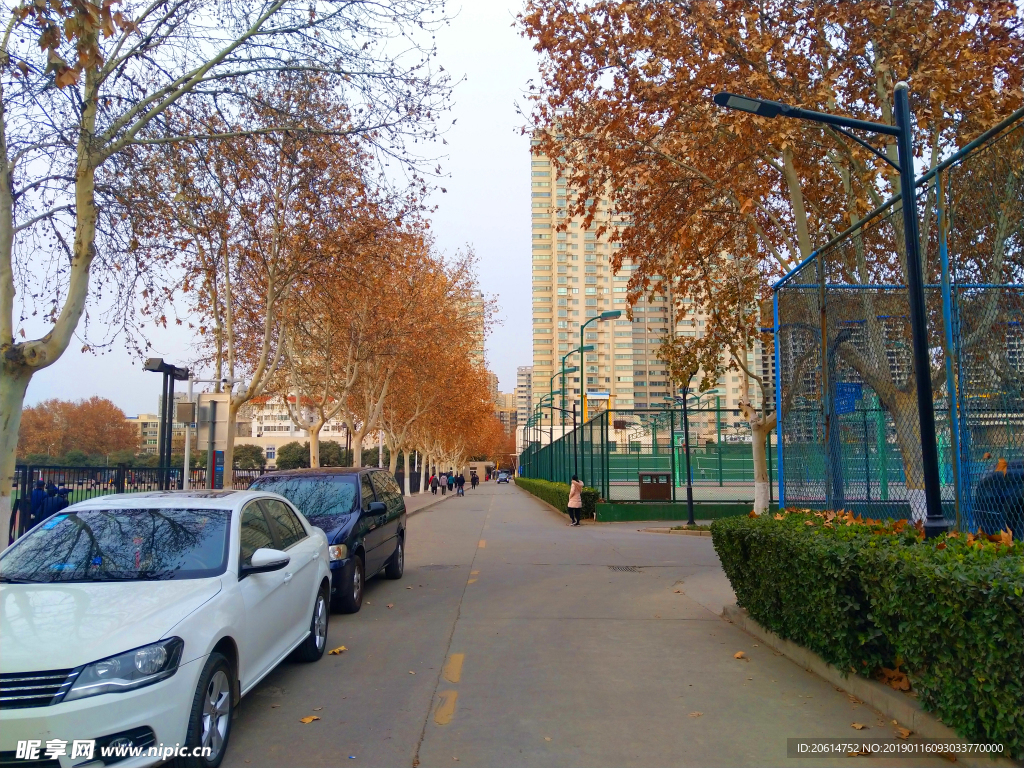 深秋时节的校园风景