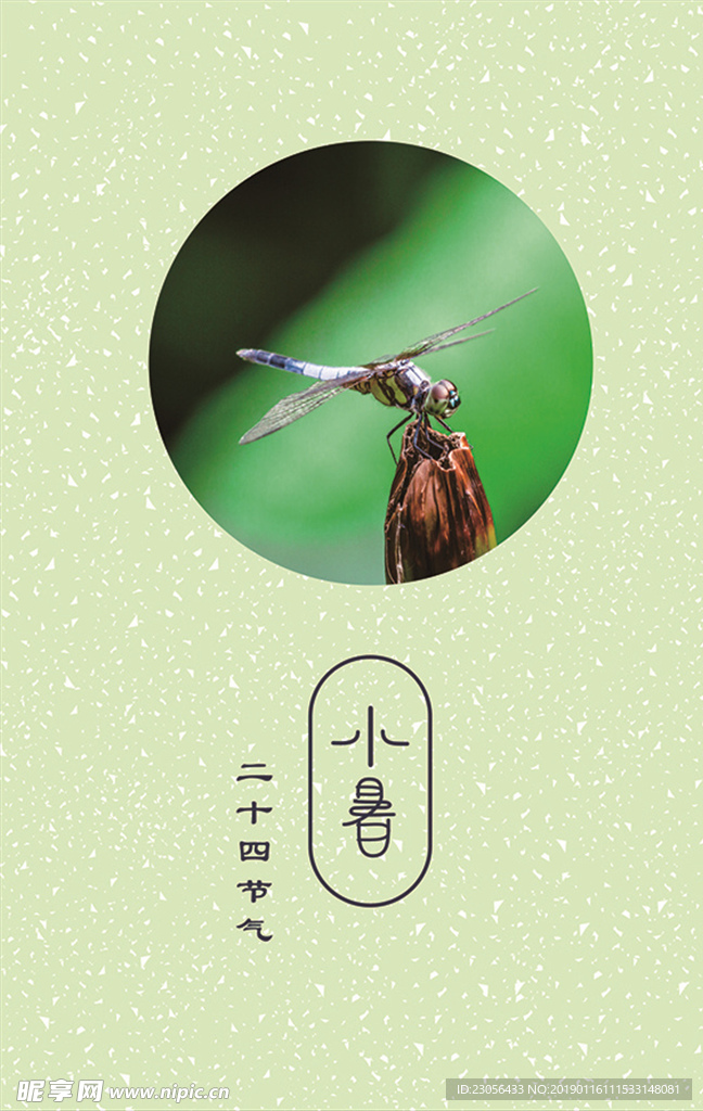 二十四节气-小暑