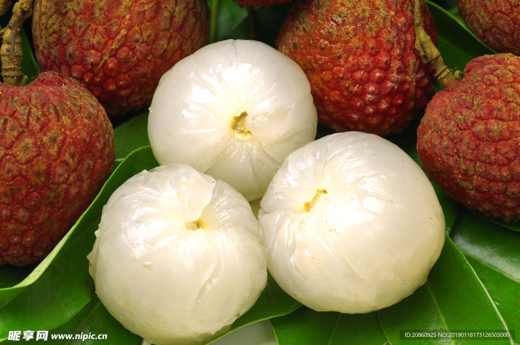 新鲜的樱桃图片