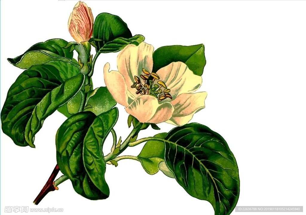 AI制作绿叶花朵素材