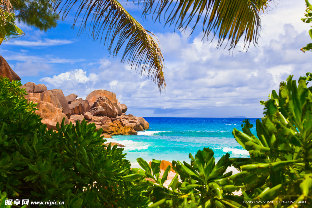 夏日湖光景色图片