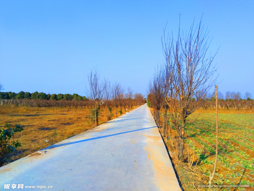 蓝天下的乡村道路风景