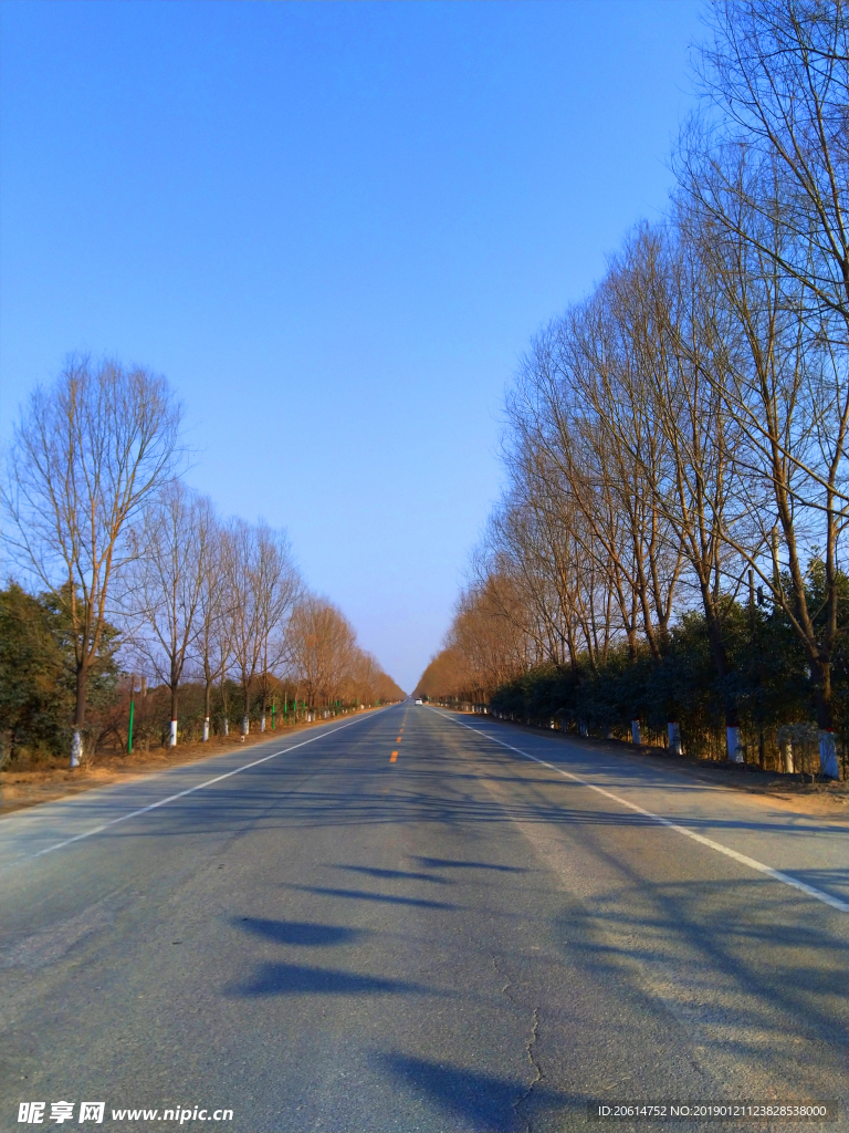 蓝天下的乡村道路风景