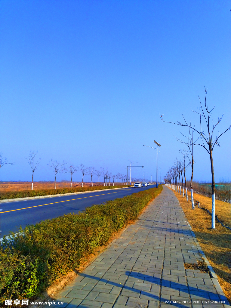 深秋时节的道路风景
