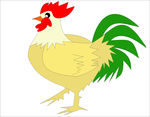 鸡