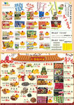 新年超市DM单