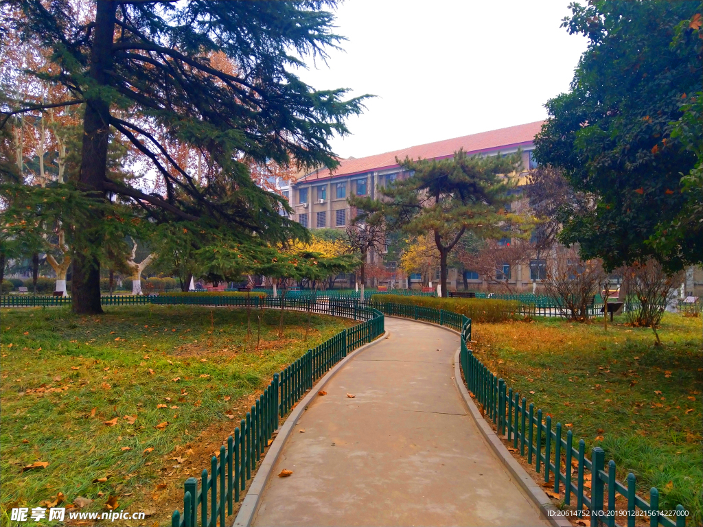 美丽的校园风景