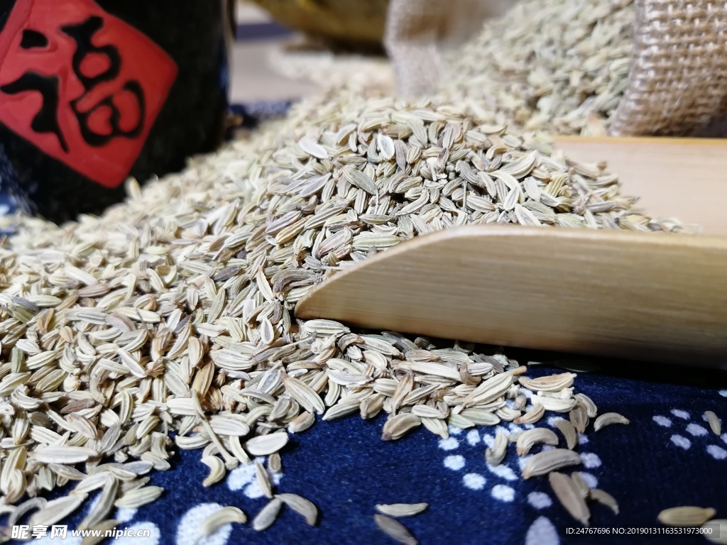 茴香 调料 食物 食材 摄影