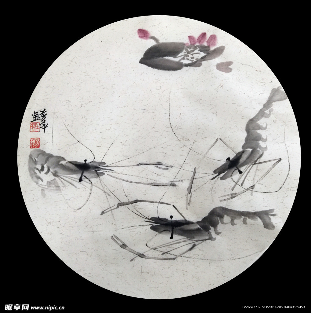 国画虾能屈能伸图水墨画家杜芳萍
