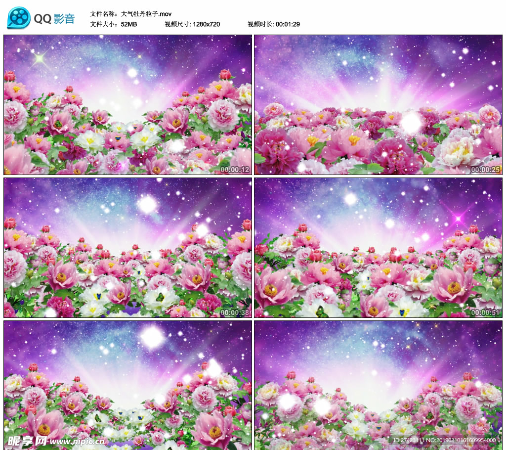 大气牡丹花海粒子 舞台背景视频