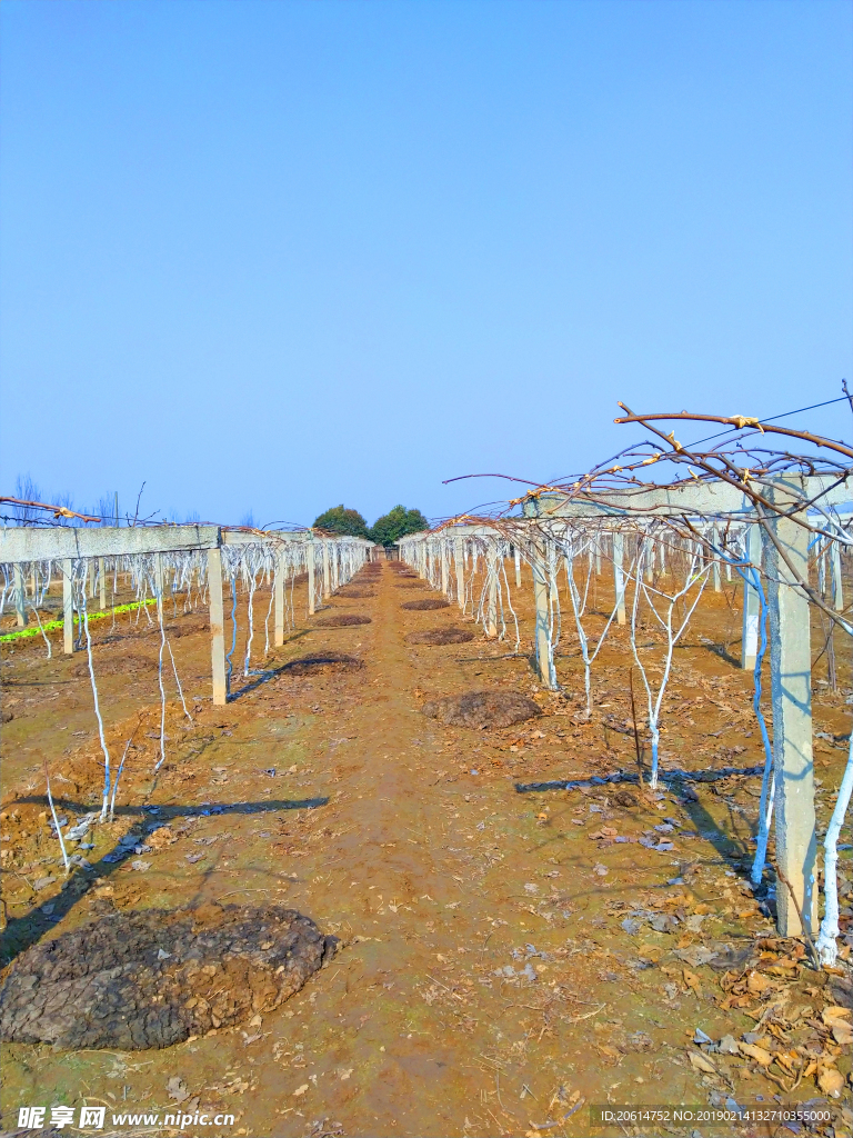 美丽的乡土风景