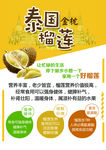 榴莲功效海报