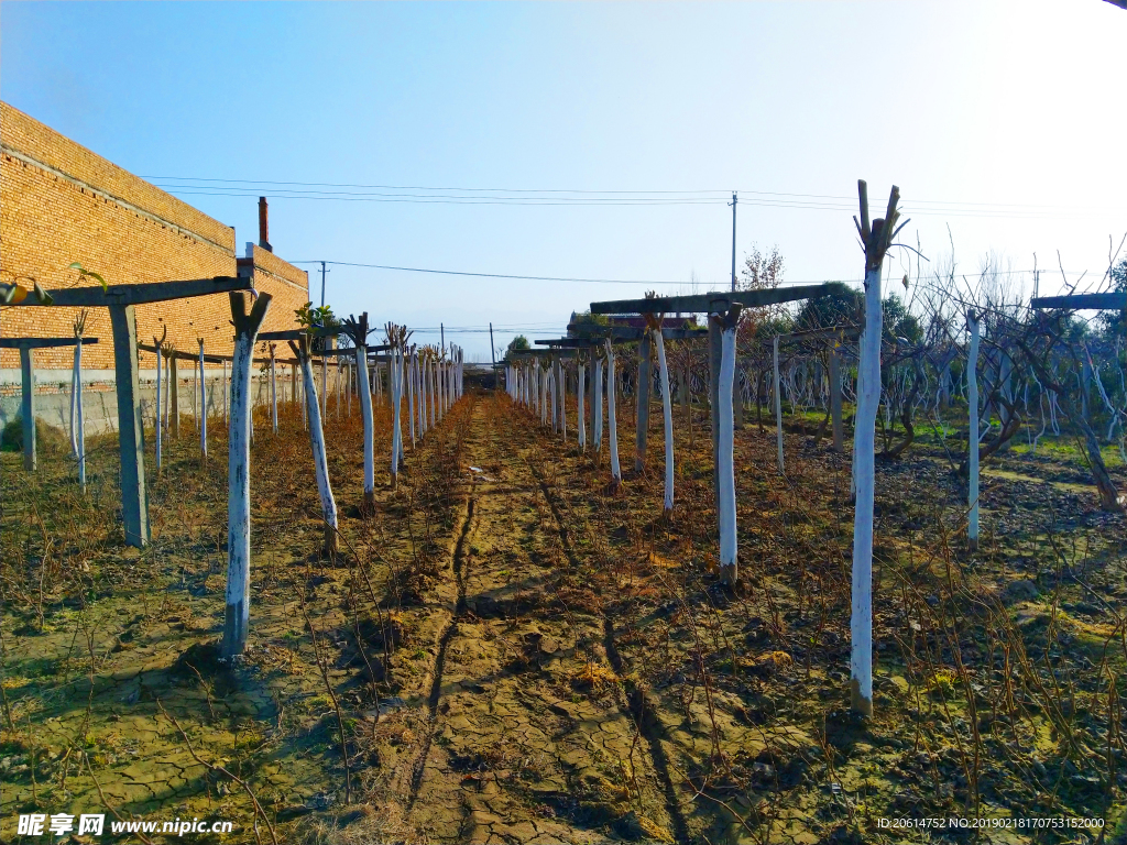 美丽的乡土风景