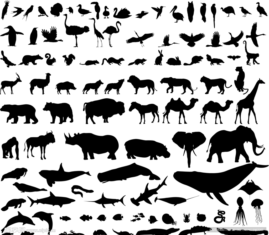 动物剪影