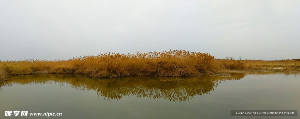 美丽的河道风景