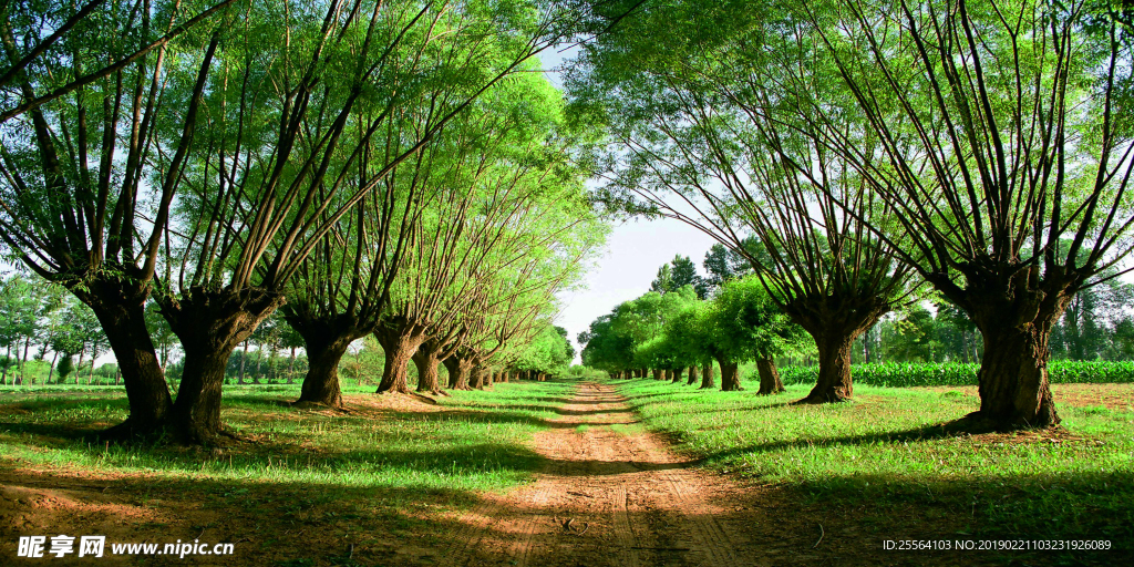 城川苏坝海子生态长廊