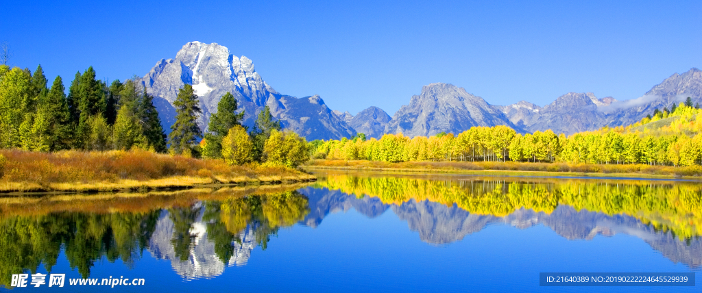 美丽的湖景秋天风景