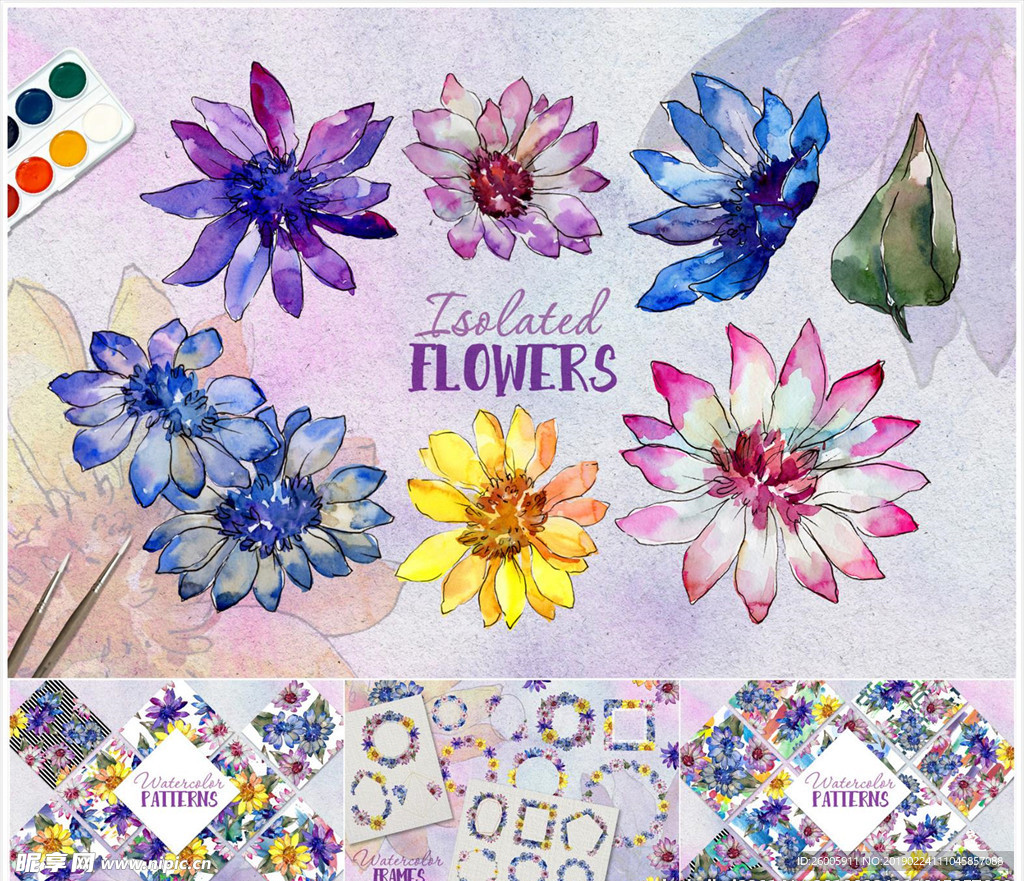 雏菊水彩画 莲花水彩画