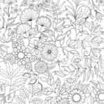 秘密花园 黑白简笔画 黑白动植