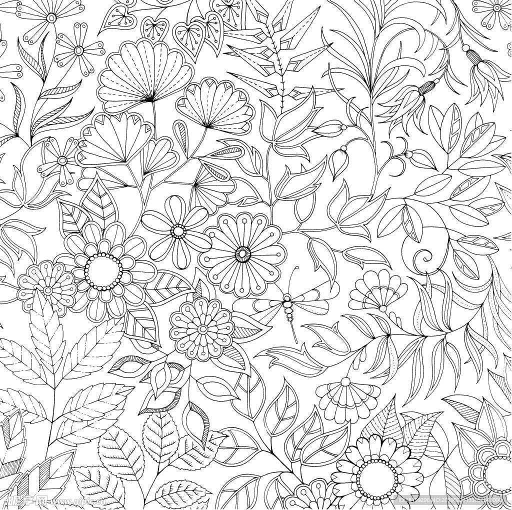 秘密花园 黑白简笔画 黑白动植