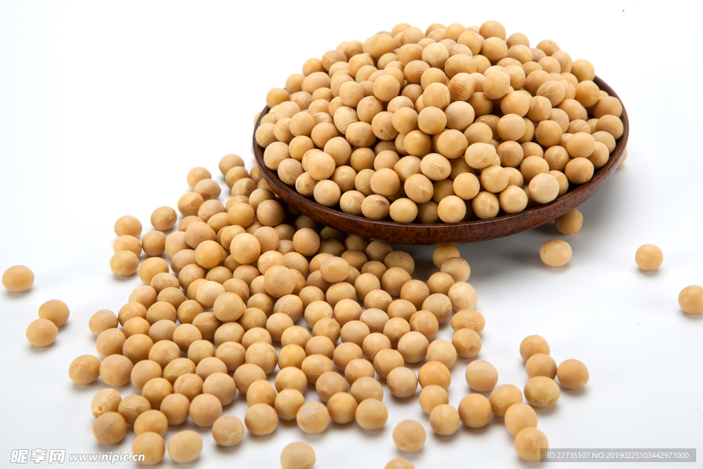 黄豆图片
