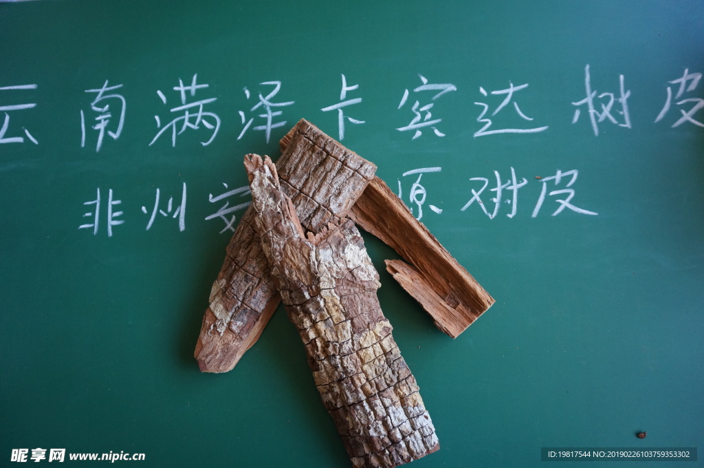 安哥拉卡宾达树皮图片