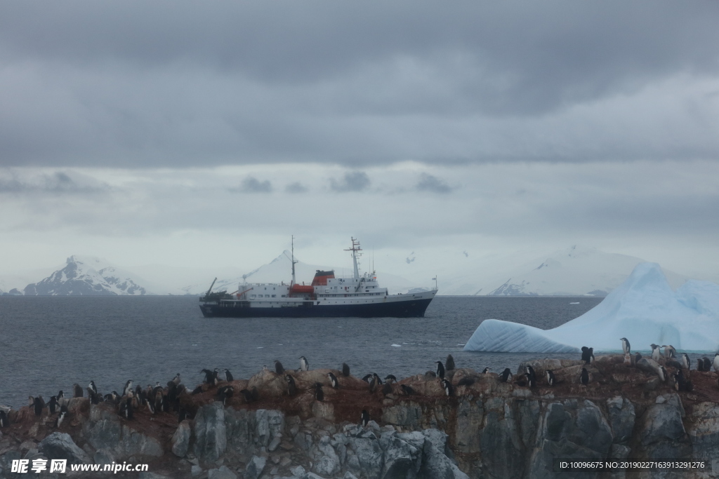 南极天空下的冰雪海洋礁石上企鹅