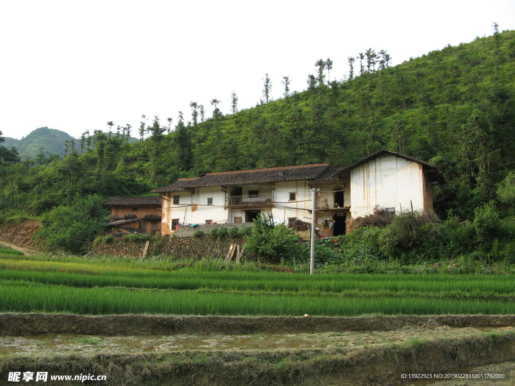 兴国茶园围坑老家照片