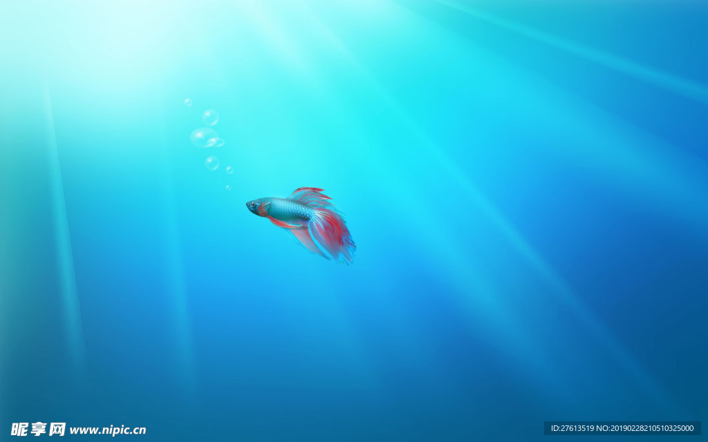 海底小金鱼图片