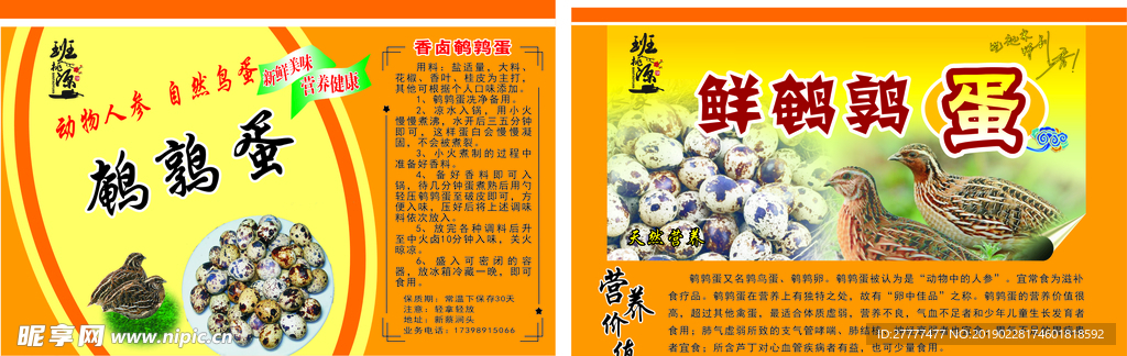 鹌鹑蛋宣传