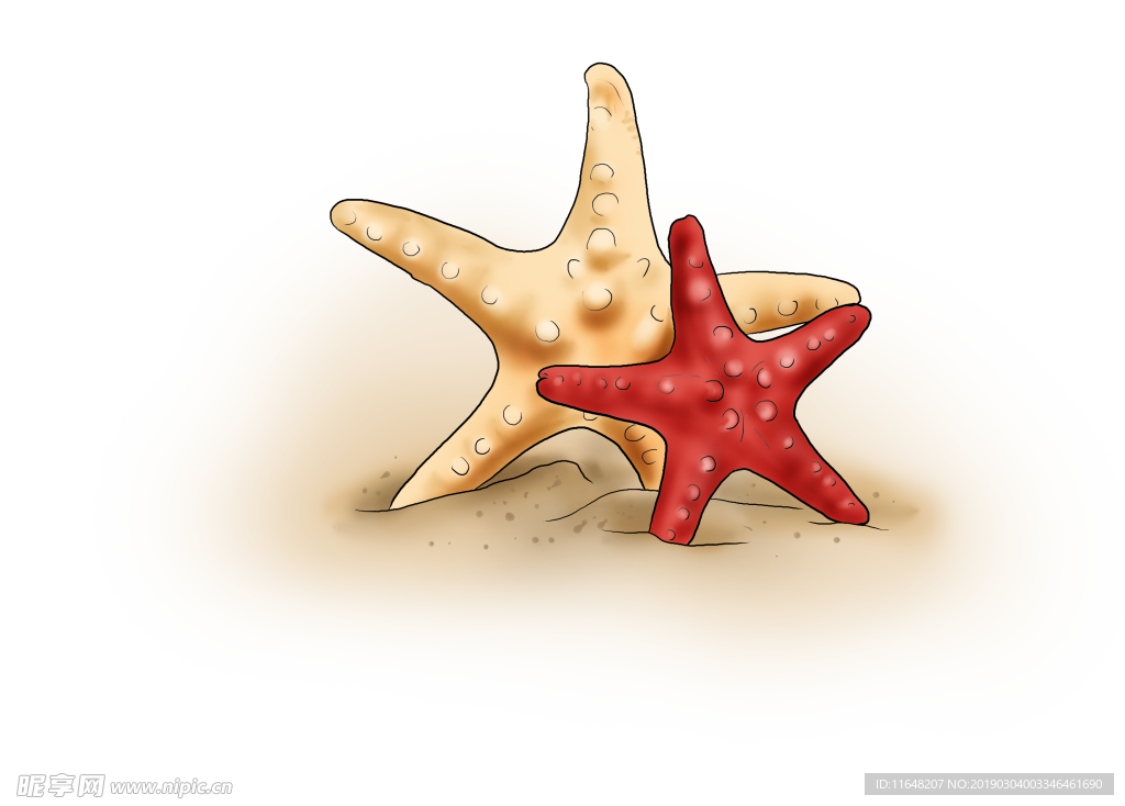海星 沙滩 透明素材
