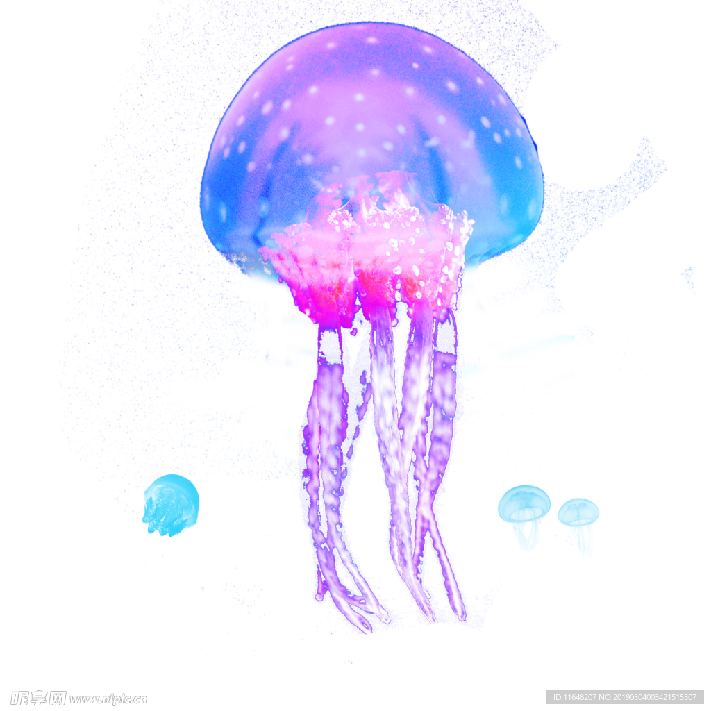 水母 透明素材 卡通水母