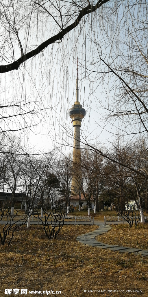 春天里的北京玉渊潭公园