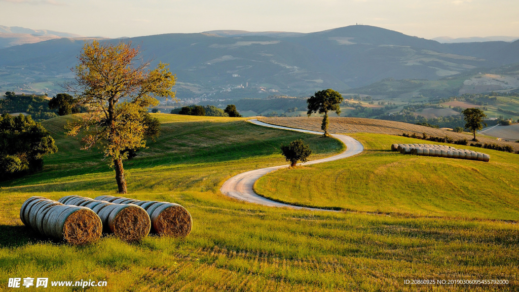 美丽的田园风光图片