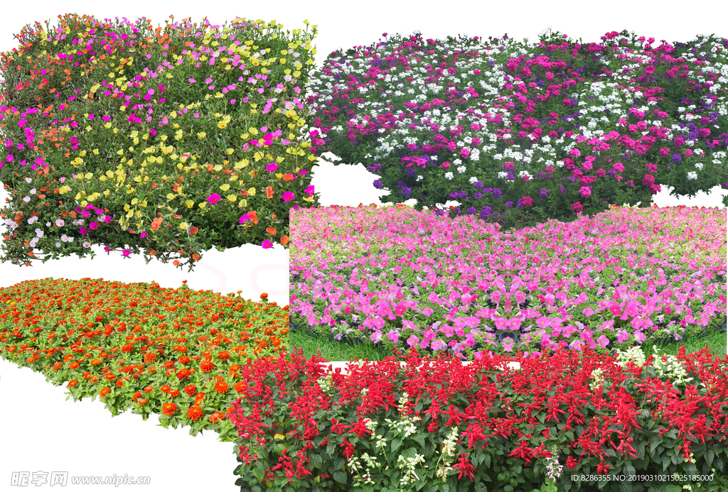 景观 效果图 psd