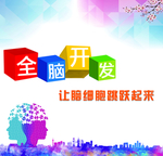 全脑开发