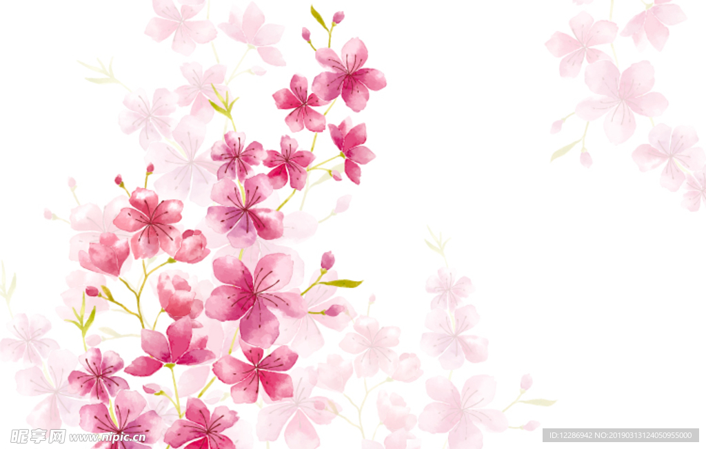 粉红色植物花朵花卉树叶手绘背景