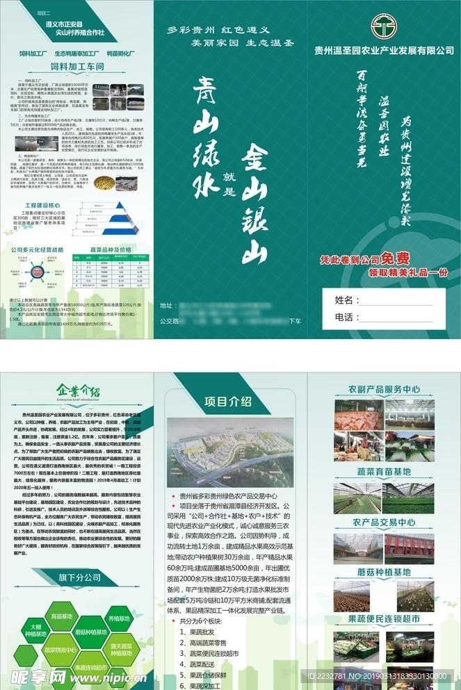 农业环保果蔬画册折页