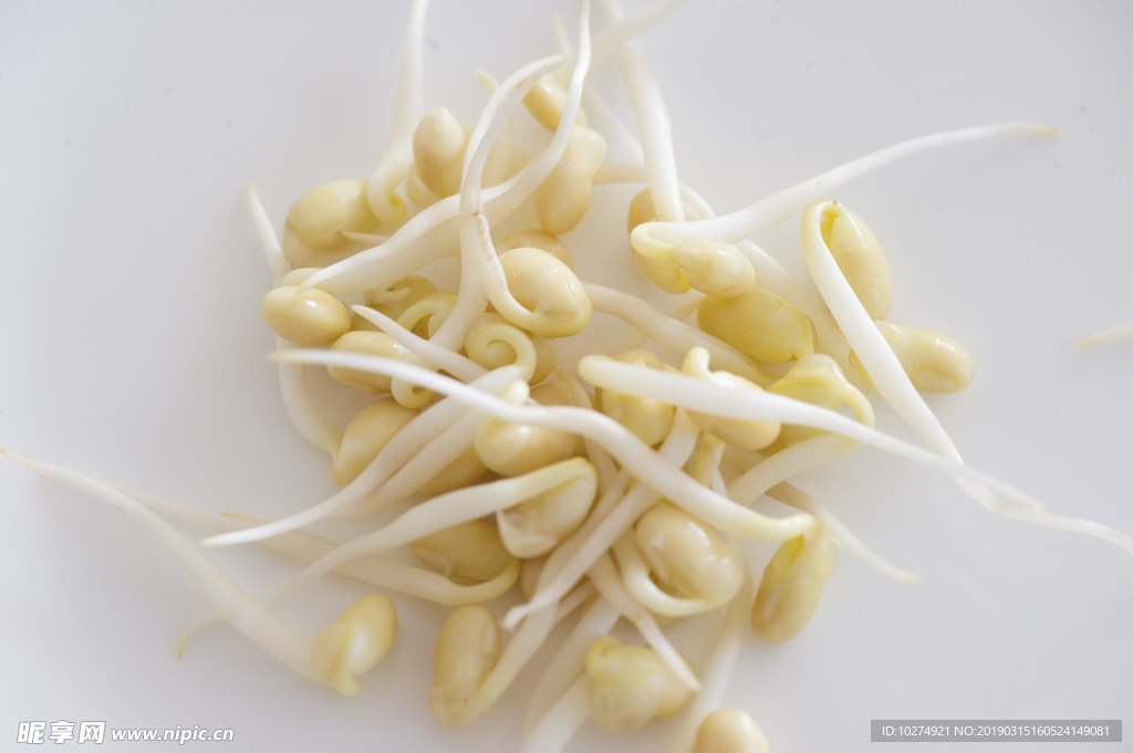 豆芽  芽菜  农业  食材