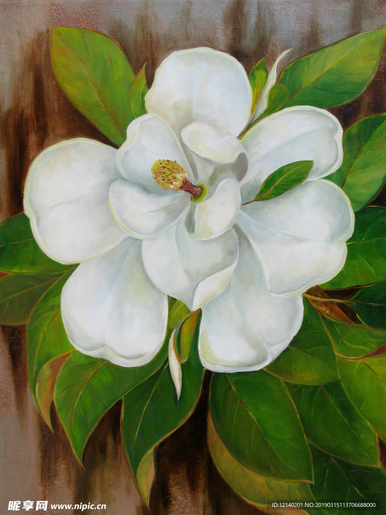 油画白色花朵