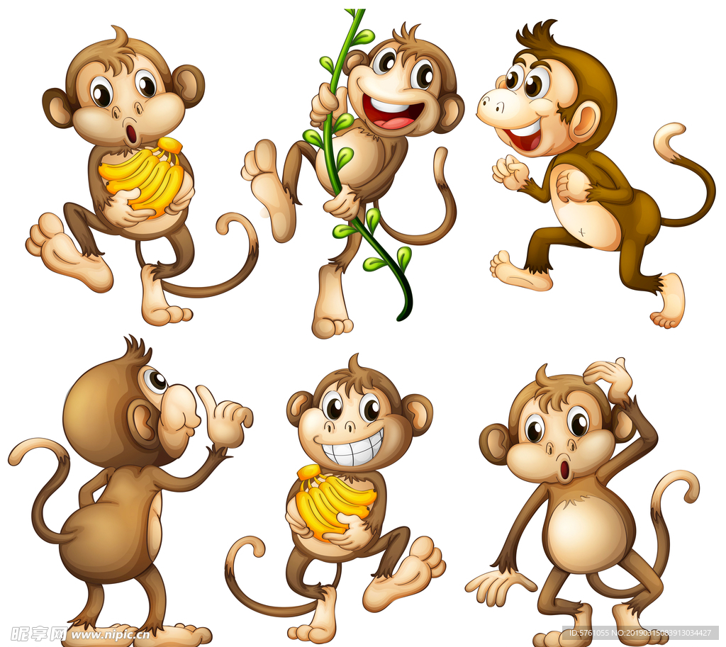 猴子图片