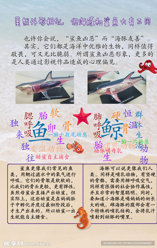 科普 展板 海洋动物海洋生物